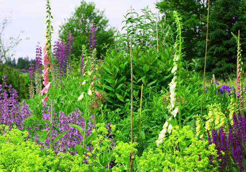 The Importance of Green Spaces and Community Gardens in Douglas County, Nebraska